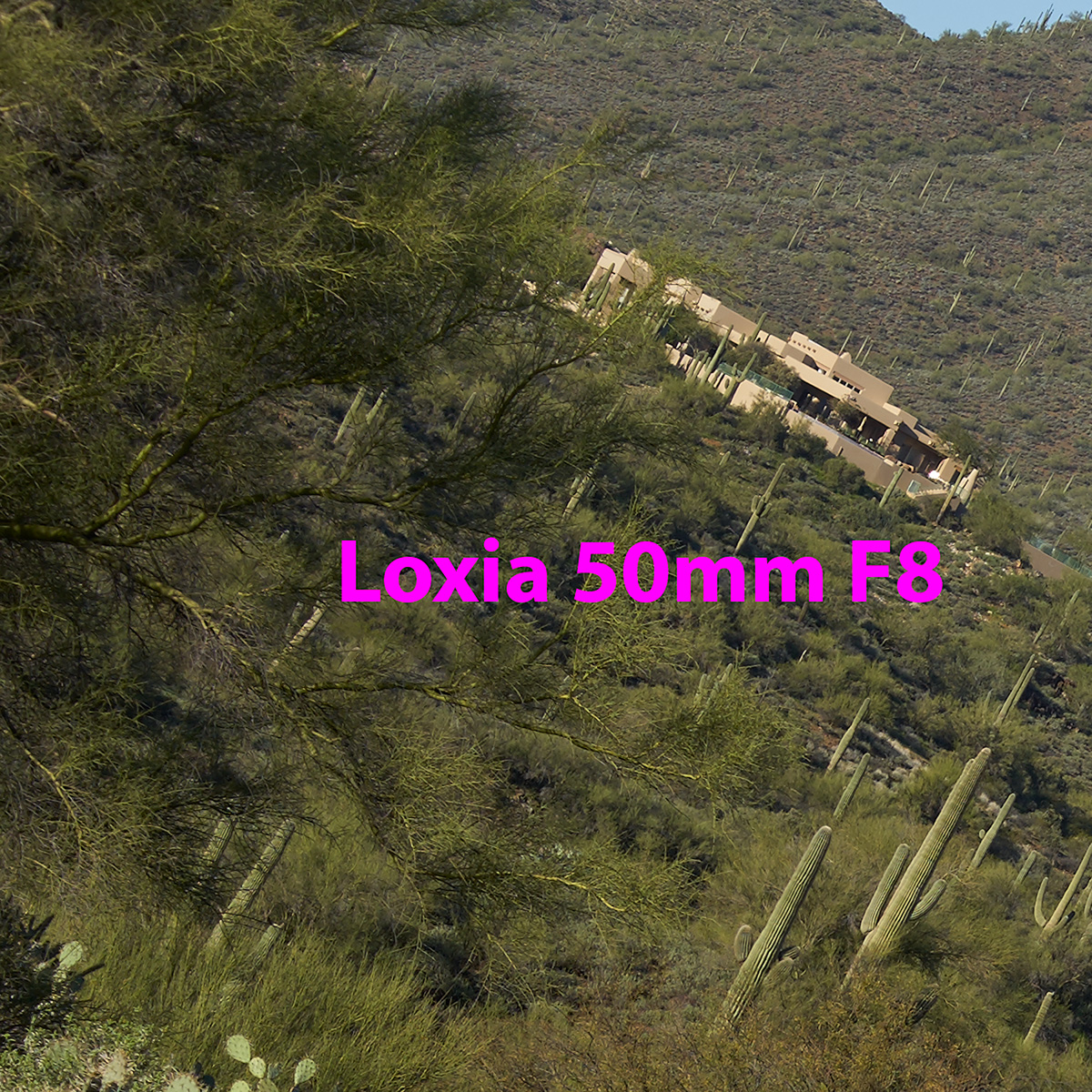 2024 © GMPhotography