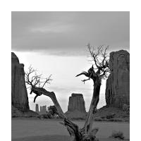 Monument Valley