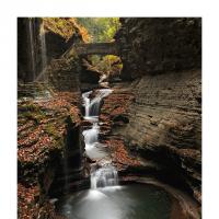 Watkins Glen