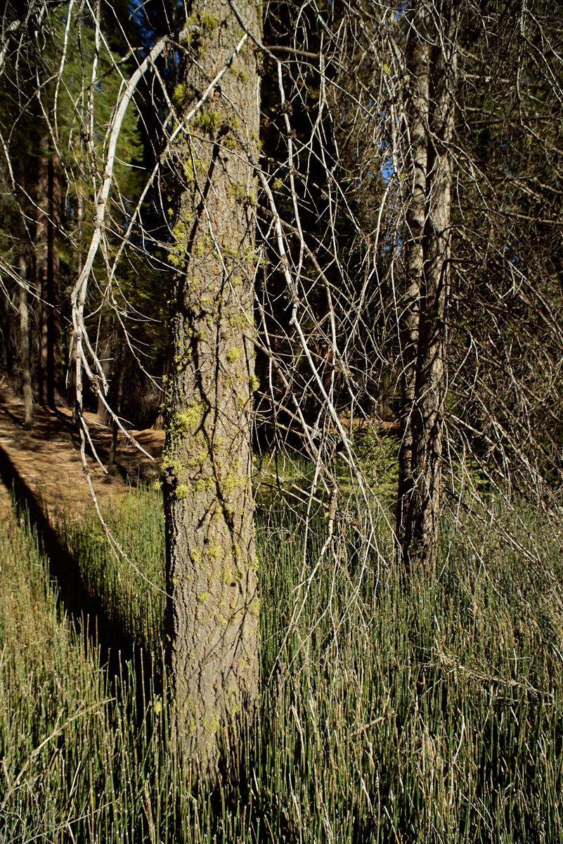_dsc1306.jpg