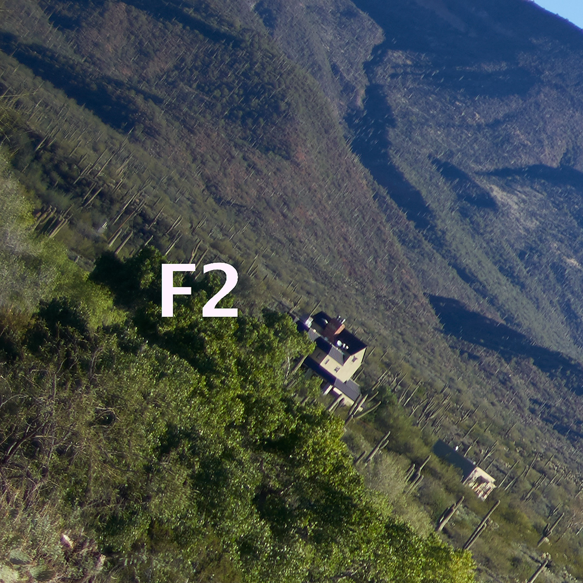 f2_307353.jpg