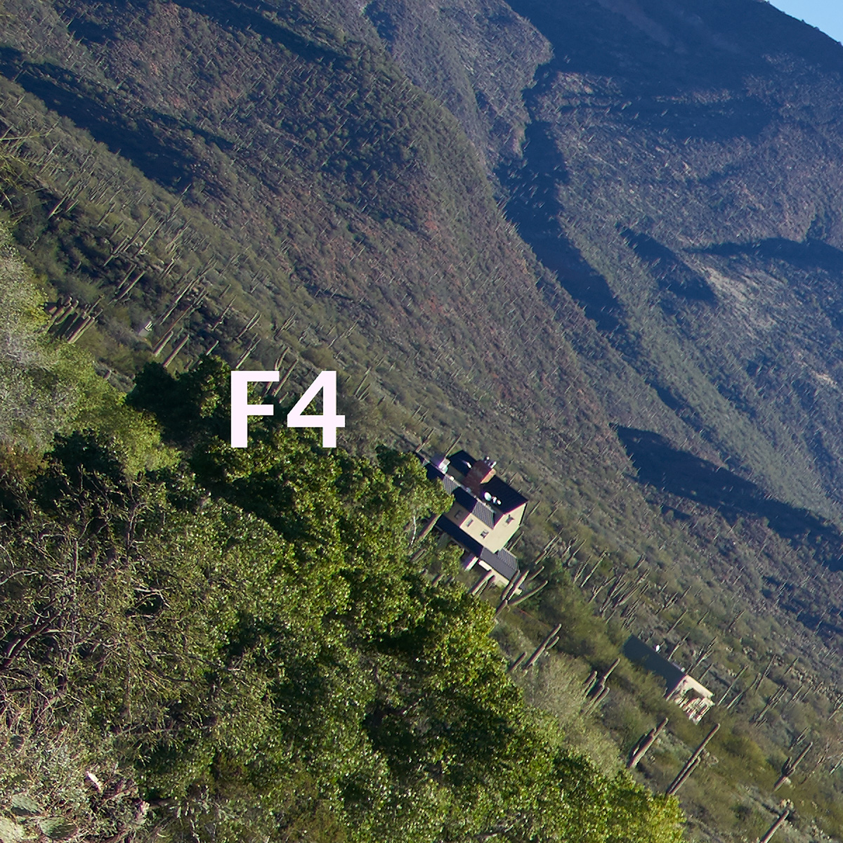 f4_935413.jpg