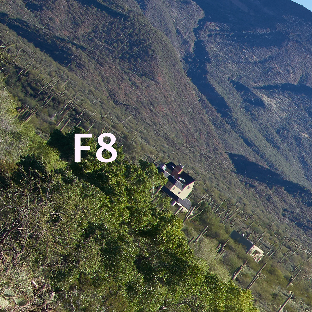 f8_677021.jpg