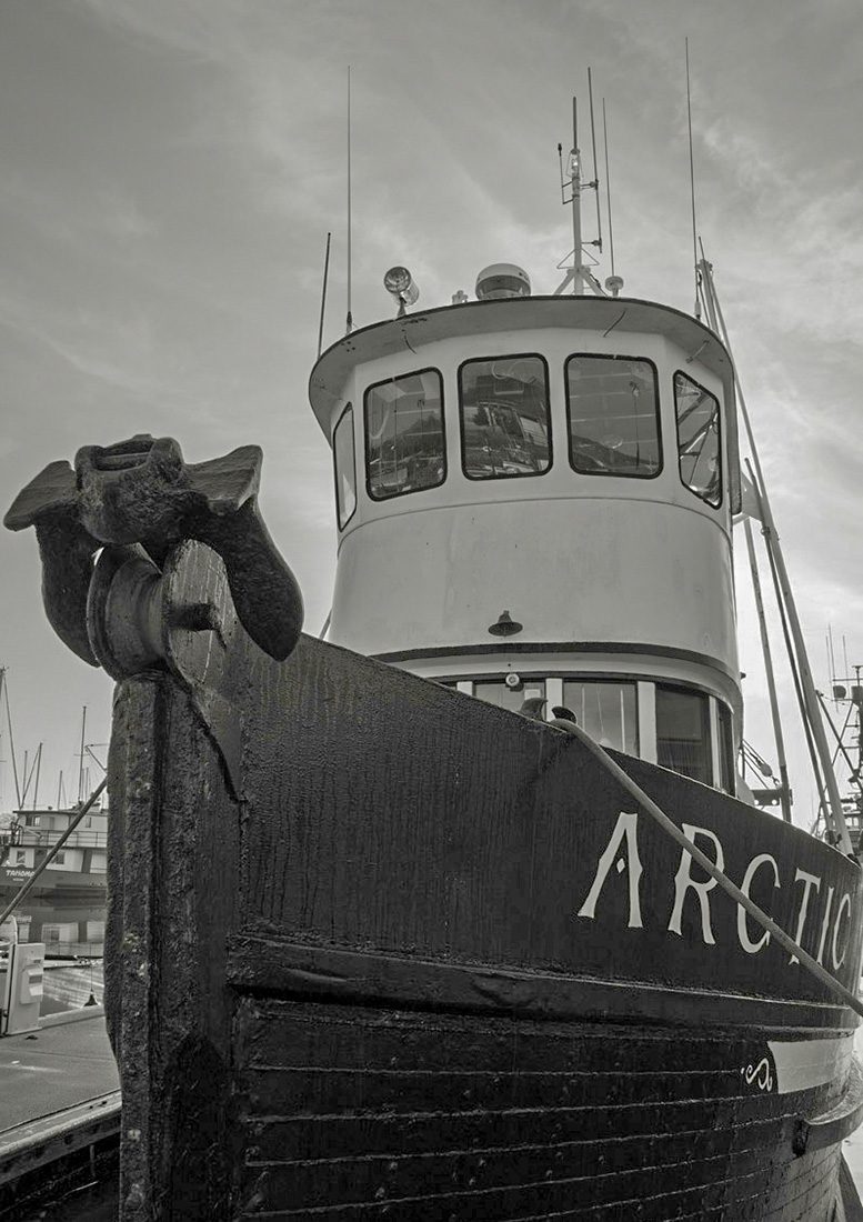 _dsc0535_wg_2c_1c-1.jpg