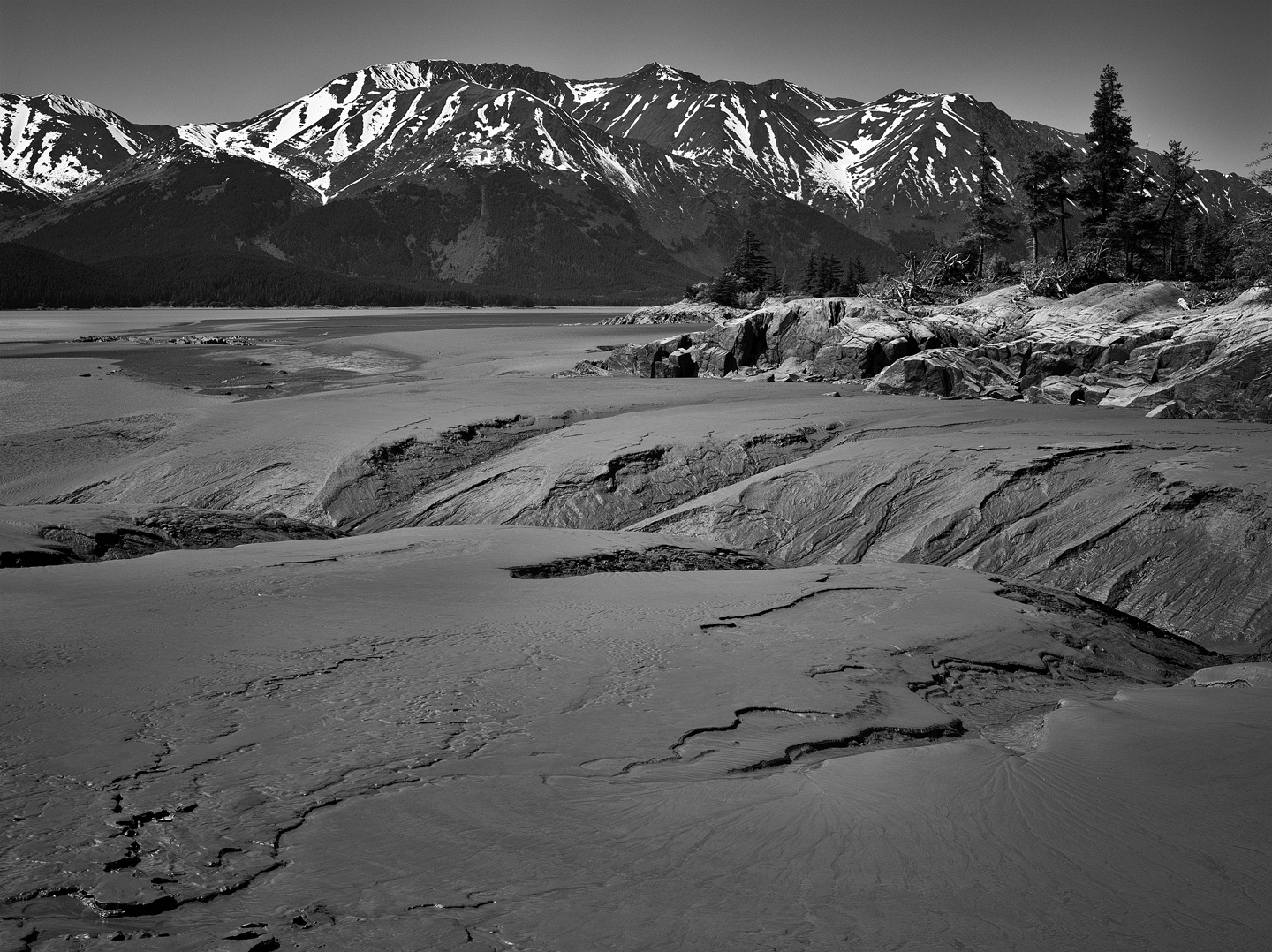 imgp0051_bird_point_mud_flats_low_tide_nik_bw-2_xl.jpg